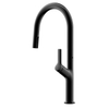 Modern Design Matte Black Kitchen Sink Tap with Pull Down Sprayer 304 Stainless Steel Kitchen Faucet
