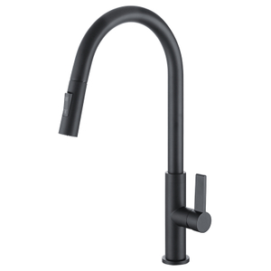 Landonbath Two Function Kitchen Sink Faucet Mixer Tap 1301023