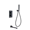 Thermostatic Rainfall Shower Mixer T1102029