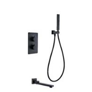 Thermostatic Rainfall Shower Mixer T1102029