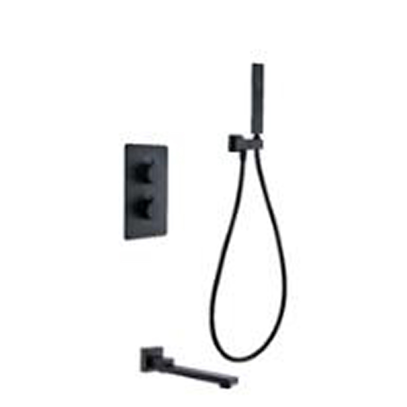 Thermostatic Rainfall Shower Mixer T1102029