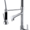 Gooseneck Spring Flexible Sink Kitchen Mixer Water Mixture Tap With Purification Faucet Brass Sprayer Pull Down For Pressure