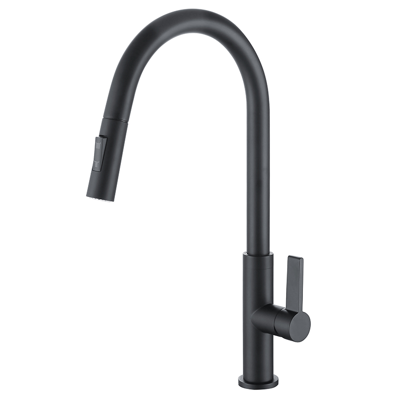 Matte Black Kitchen Faucet