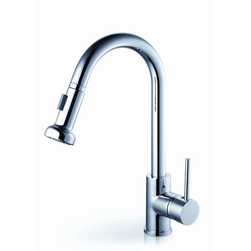 Kitchen Faucet