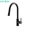 304 Stainless Steel Hot And Cold Water Flexible Hose For Kitchen Faucet With Pull-Down Sprayer Black Color Kitchen Sink Tap