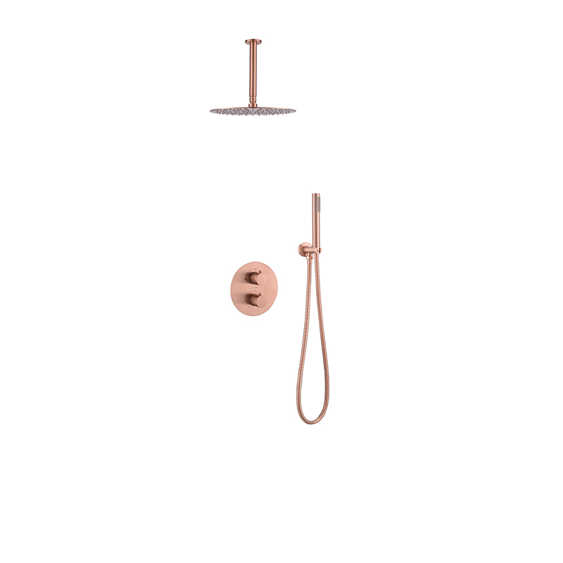 Rainfall Shower Mixer 1101022