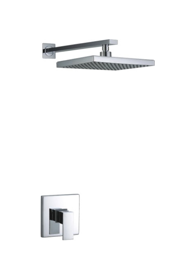 Single Function Shower Set