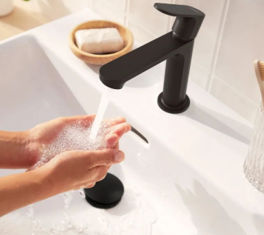 Matte Black Basin Faucet