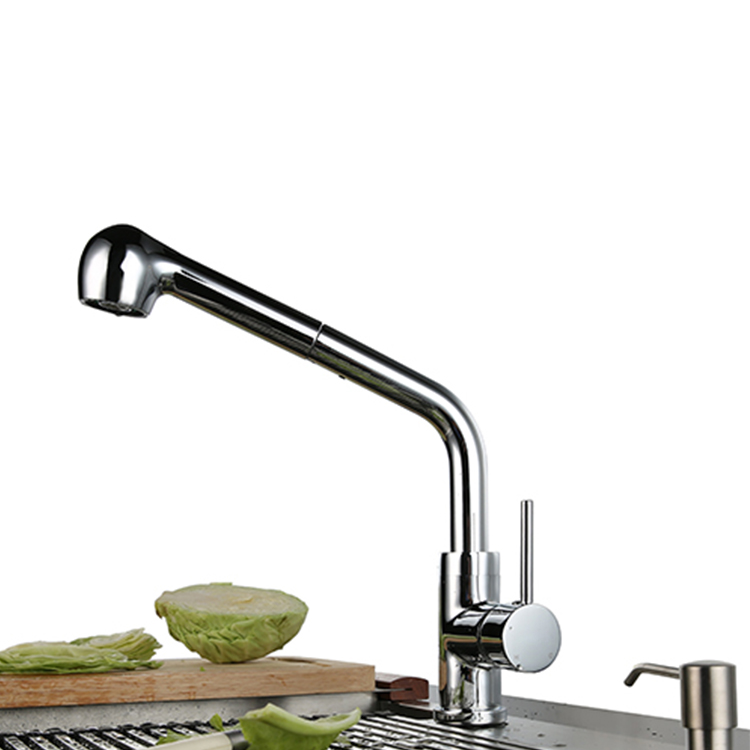 Kitchen Faucet