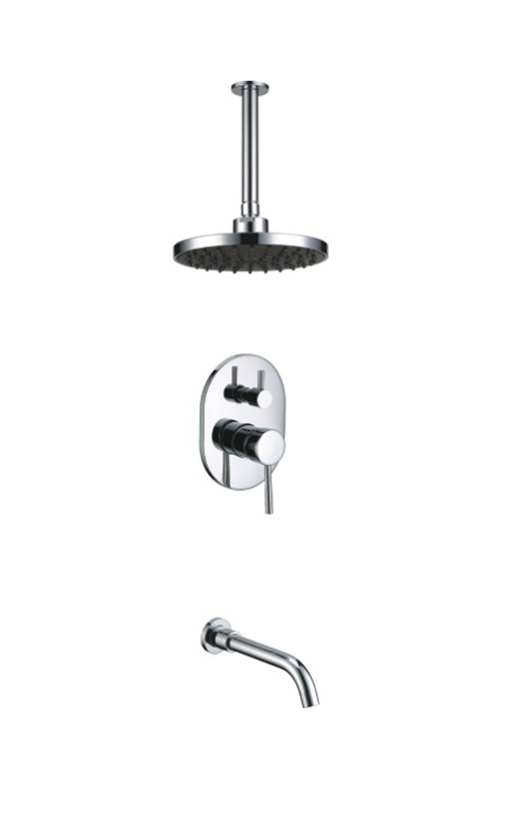 Shower set