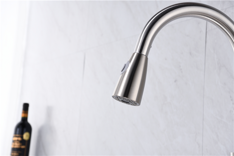 Luxury Dual Function Faucets Pull Out Kitchen Tap Kitchen Mixer Single Handle
