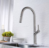 New Product Series Single Handle Mixer Tap 304 Stainless Steel Kitchen Taps Mixer Faucets Pull Down Sprayer Kitchen Faucet