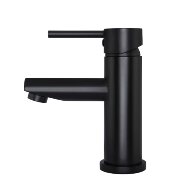Stainless Steel Basin Mixer DF-01202SS