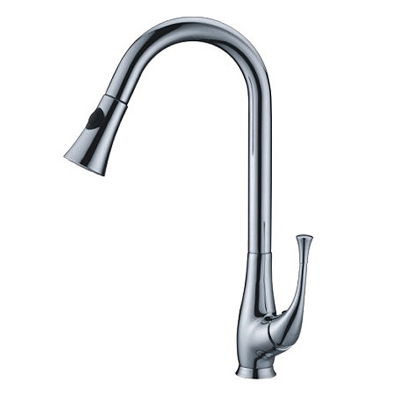 Kitchen Faucet