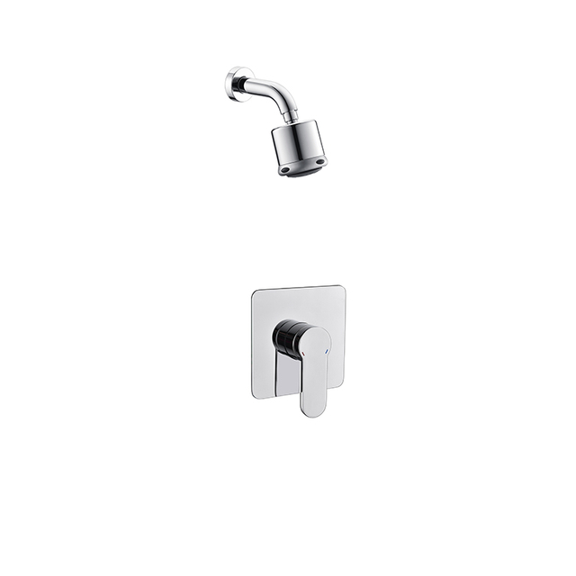 Rainfall Shower Mixer 1102028