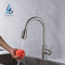 Brushed Mixer Faucet Single Hole Pull Out Spout Kitchen Sink Mixer Tap with Stream Sprayer Head