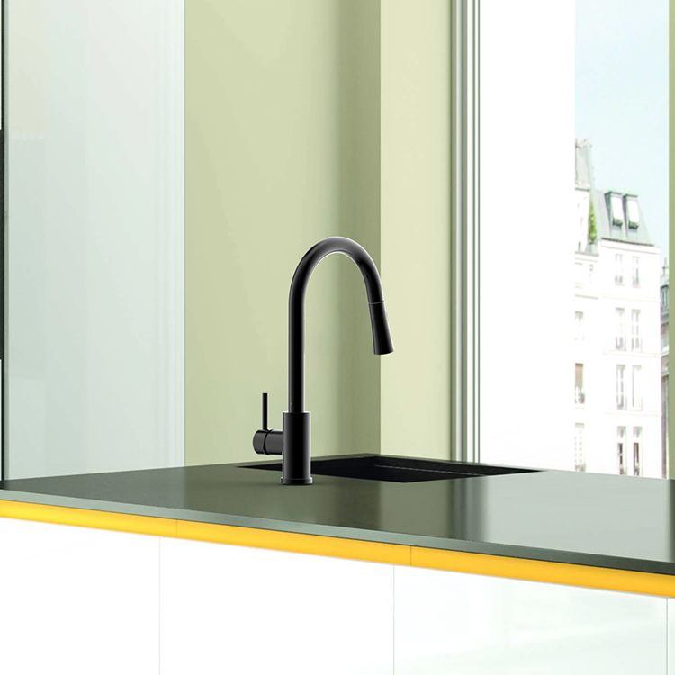 Long Neck Sink Mixer Tap Single Handle Black Faucet 304 Kitchen Sink Tap with Pull Down Spray